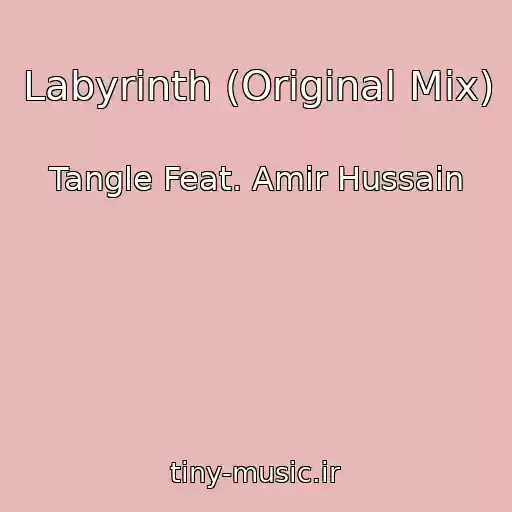 کاور آهنگ Labyrinth (Original Mix) از Tangle Feat. Amir Hussain