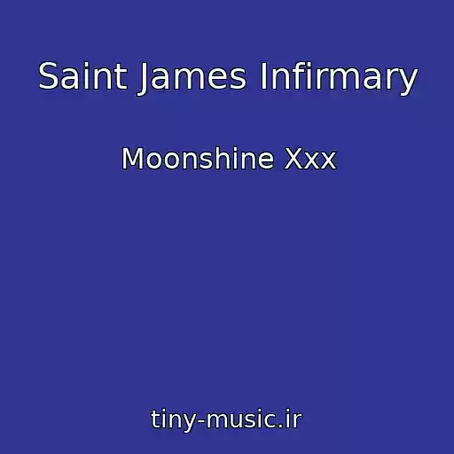 کاور آهنگ Saint James Infirmary از Moonshine Xxx