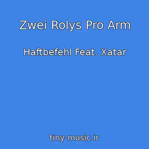 کاور آهنگ Zwei Rolys Pro Arm از Haftbefehl Feat. Xatar