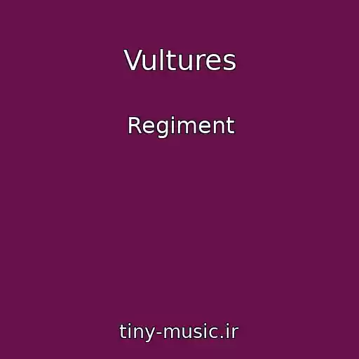 کاور آهنگ Vultures از Regiment