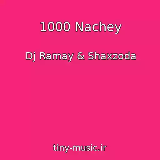 کاور آهنگ 1000 Nachey از Dj Ramay & Shaxzoda