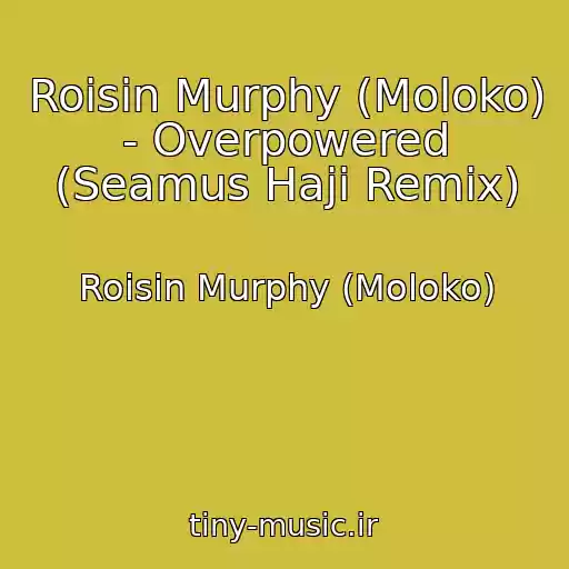 کاور آهنگ Roisin Murphy (Moloko) - Overpowered (Seamus Haji Remix) از Roisin Murphy (Moloko)