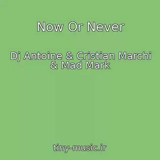 کاور آهنگ Now Or Never از Dj Antoine & Cristian Marchi & Mad Mark