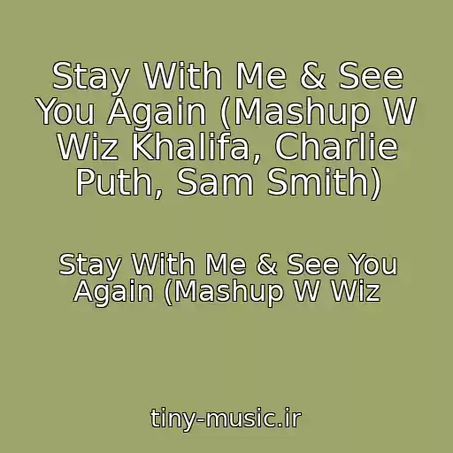 کاور آهنگ Stay With Me & See You Again (Mashup W Wiz Khalifa, Charlie Puth, Sam Smith) از Stay With Me & See You Again (Mashup W Wiz