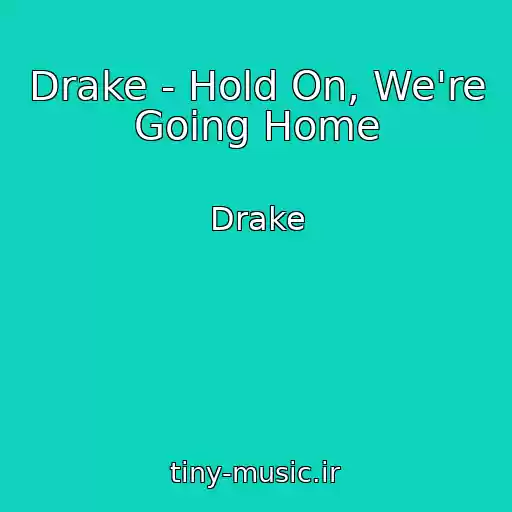 کاور آهنگ Drake - Hold On, We're Going Home از Drake