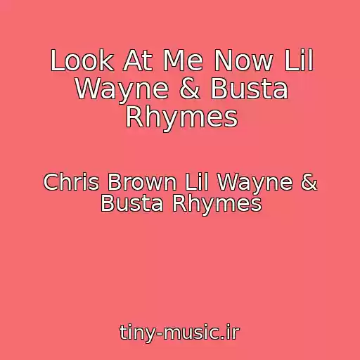 کاور آهنگ Look At Me Now Lil Wayne & Busta Rhymes از Chris Brown Lil Wayne & Busta Rhymes