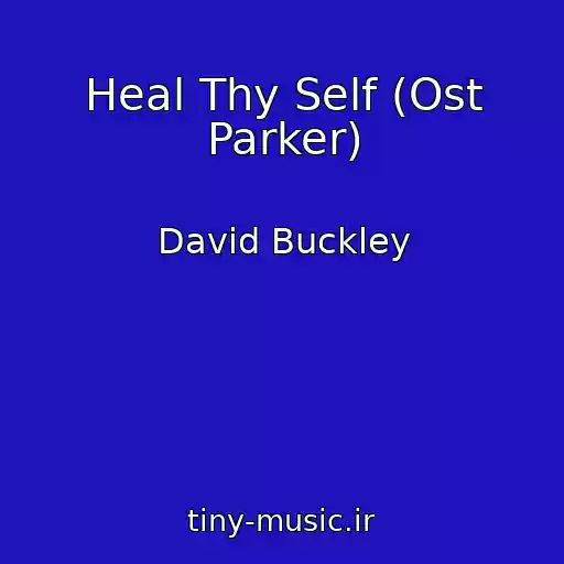 کاور آهنگ Heal Thy Self (Ost Parker) از David Buckley