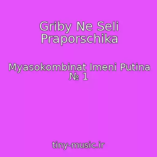 کاور آهنگ Griby Ne Seli Praporschika از Myasokombinat Imeni Putina № 1
