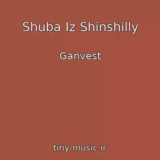 کاور آهنگ Shuba Iz Shinshilly از Ganvest