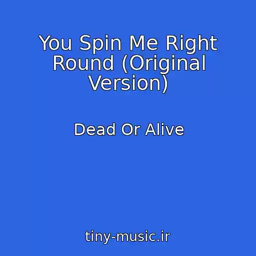 کاور آهنگ You Spin Me Right Round (Original Version) از Dead Or Alive