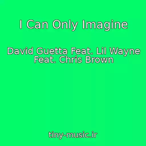 کاور آهنگ I Can Only Imagine از David Guetta Feat. Lil Wayne Feat. Chris Brown