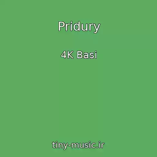 کاور آهنگ Pridury از 4K Basi