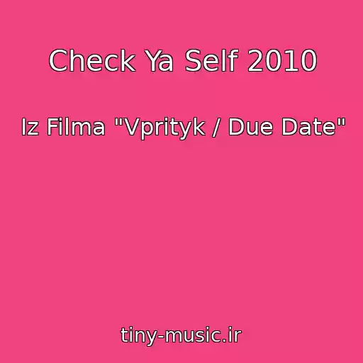 کاور آهنگ Check Ya Self 2010 از Iz Filma "Vprityk / Due Date"