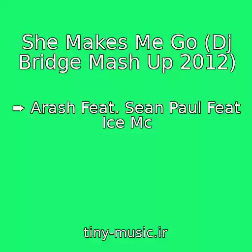 کاور آهنگ She Makes Me Go (Dj Bridge Mash Up 2012) از ➨ Arash Feat. Sean Paul Feat Ice Mc