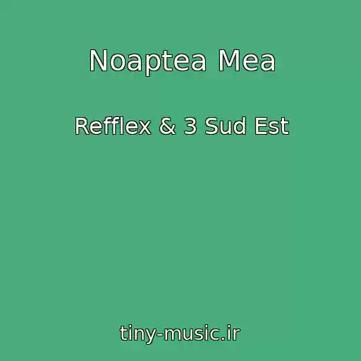 کاور آهنگ Noaptea Mea از Refflex & 3 Sud Est