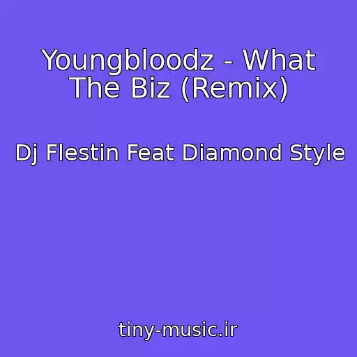 کاور آهنگ Youngbloodz - What The Biz (Remix) از Dj Flestin Feat Diamond Style