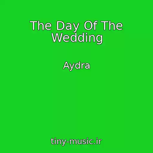 کاور آهنگ The Day Of The Wedding از Aydra