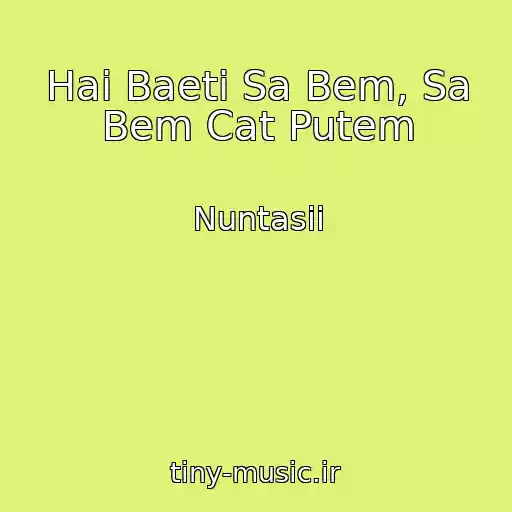 کاور آهنگ Hai Baeti Sa Bem, Sa Bem Cat Putem از Nuntasii