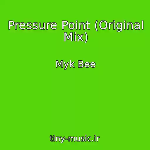 کاور آهنگ Pressure Point (Original Mix) از Myk Bee