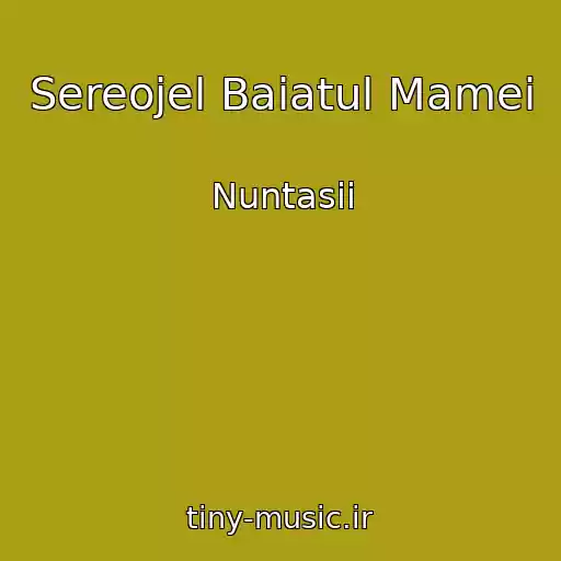کاور آهنگ Sereojel Baiatul Mamei از Nuntasii