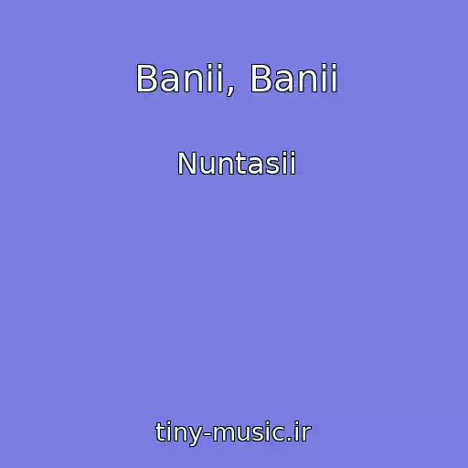 کاور آهنگ Banii, Banii از Nuntasii