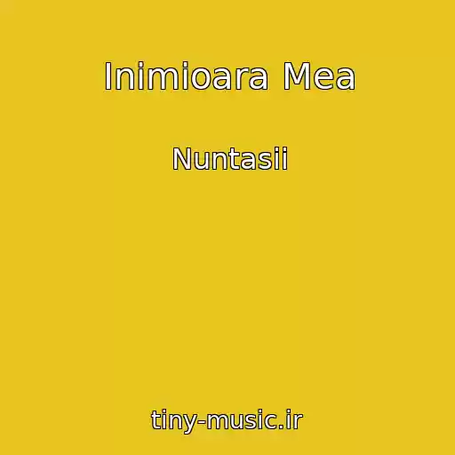 کاور آهنگ Inimioara Mea از Nuntasii