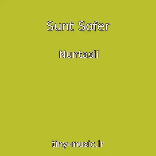 کاور آهنگ Sunt Sofer از Nuntasii