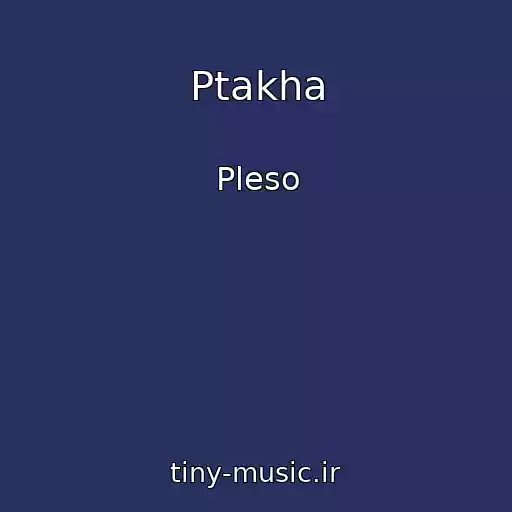 کاور آهنگ Ptakha از Pleso