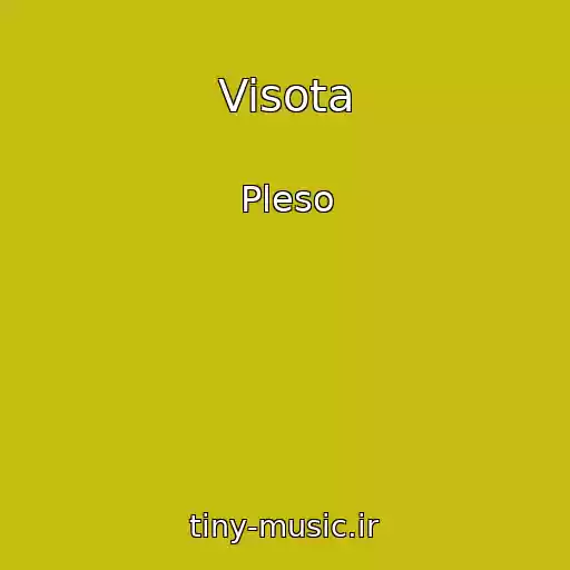 کاور آهنگ Visota از Pleso
