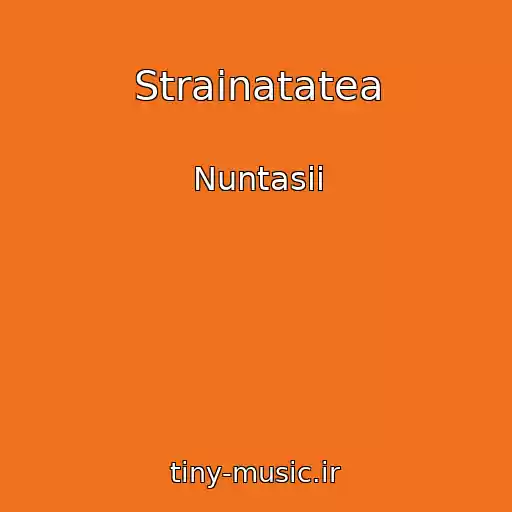 کاور آهنگ Strainatatea از Nuntasii