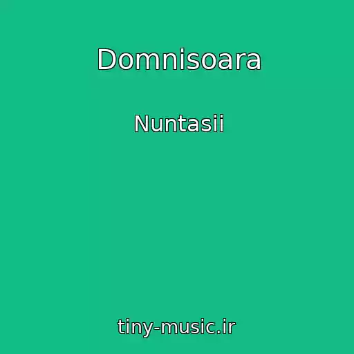 کاور آهنگ Domnisoara از Nuntasii