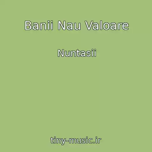 کاور آهنگ Banii Nau Valoare از Nuntasii