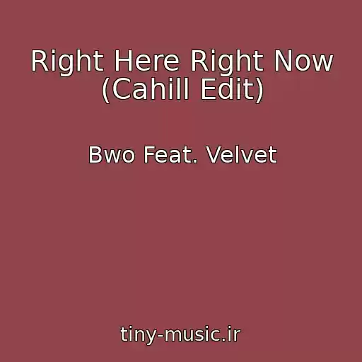 کاور آهنگ Right Here Right Now (Cahill Edit) از Bwo Feat. Velvet