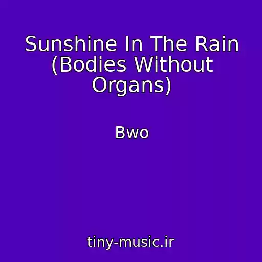 کاور آهنگ Sunshine In The Rain (Bodies Without Organs) از Bwo