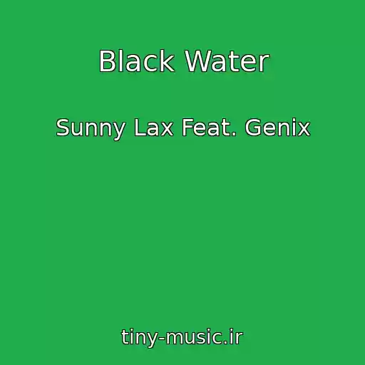 کاور آهنگ Black Water از Sunny Lax Feat. Genix