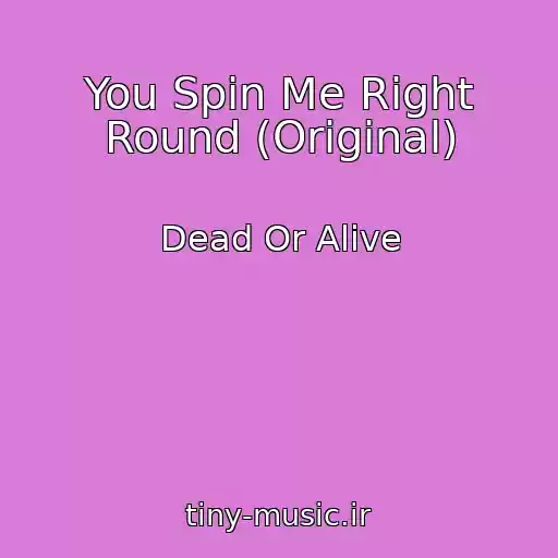 کاور آهنگ You Spin Me Right Round (Original) از Dead Or Alive