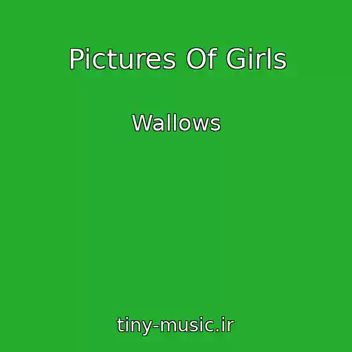 کاور آهنگ Pictures Of Girls از Wallows