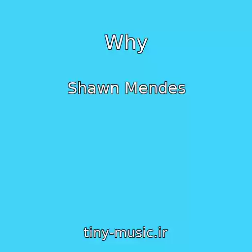 کاور آهنگ Why از Shawn Mendes