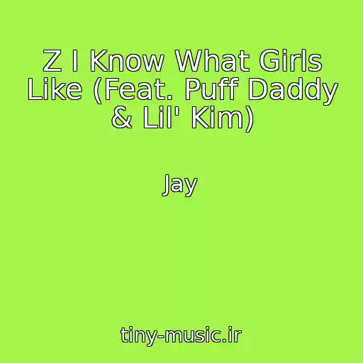 کاور آهنگ Z I Know What Girls Like (Feat. Puff Daddy & Lil' Kim) از Jay