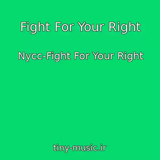 کاور آهنگ Fight For Your Right از Nycc-Fight For Your Right