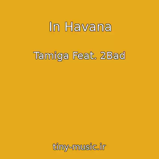 کاور آهنگ In Havana از Tamiga Feat. 2Bad