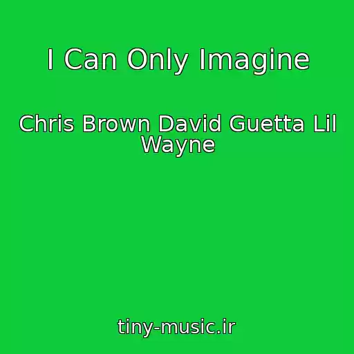 کاور آهنگ I Can Only Imagine از Chris Brown David Guetta Lil Wayne
