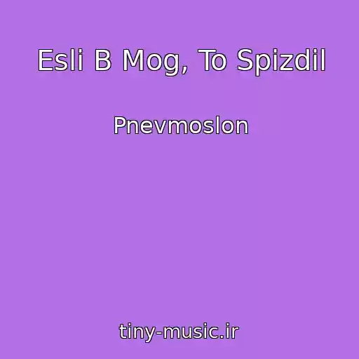 کاور آهنگ Esli B Mog, To Spizdil از Pnevmoslon