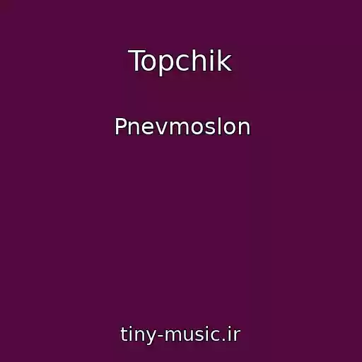 کاور آهنگ Topchik از Pnevmoslon