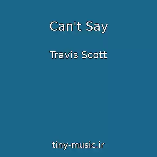 کاور آهنگ Can't Say از Travis Scott