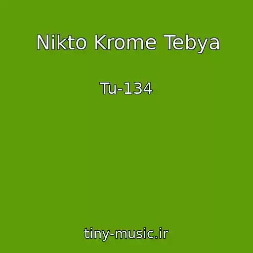 کاور آهنگ Nikto Krome Tebya از Tu-134