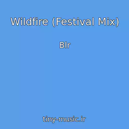 کاور آهنگ Wildfire (Festival Mix) از Blr