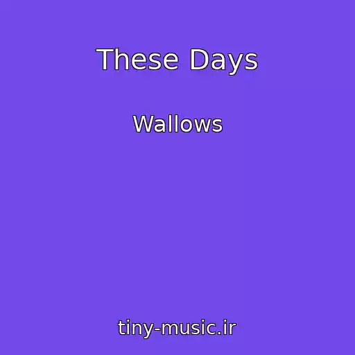 کاور آهنگ These Days از Wallows