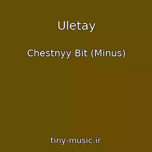 کاور آهنگ Uletay از Chestnyy Bit (Minus)