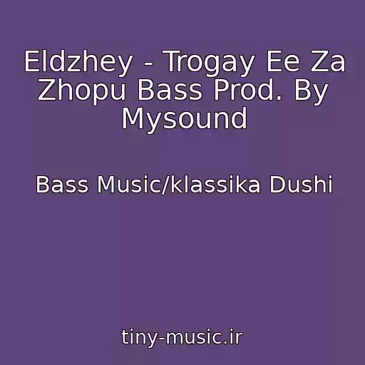 کاور آهنگ Eldzhey - Trogay Ee Za Zhopu Bass Prod. By Mysound از Bass Music/klassika Dushi